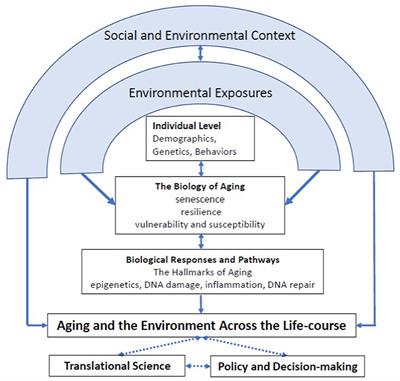 Editorial: Healthspan and neural aging: Merging the exposome and one environmental health - From molecular mechanisms to epidemiology